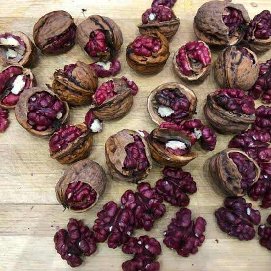 تصویر 2 از مغز گردو قرمز تازه مناسب مصارف خانگی و صنعتی